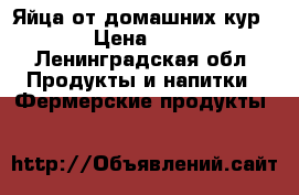 Яйца от домашних кур. › Цена ­ 90 - Ленинградская обл. Продукты и напитки » Фермерские продукты   